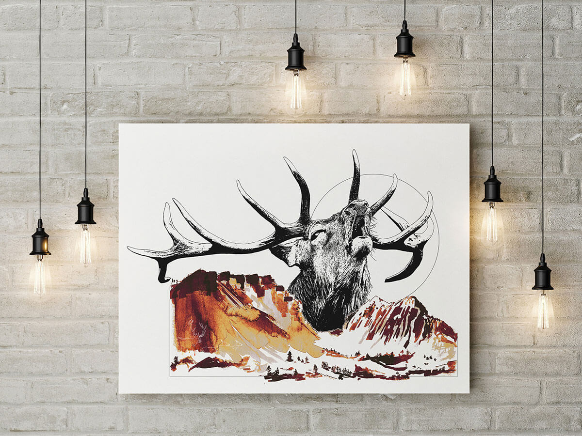 Helvedition Cervus Elaphus